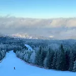 Wolnostojacy Domek Goralski - Blisko Szlakow I Aquaparku - Z Prywatna Sauna, Ogrodem